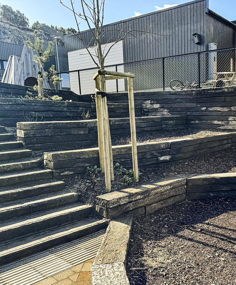 Jernbanesviller Jernbanesviller Foto: Tom Barrett